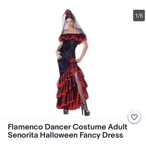 Spanish Flamenco Dancer